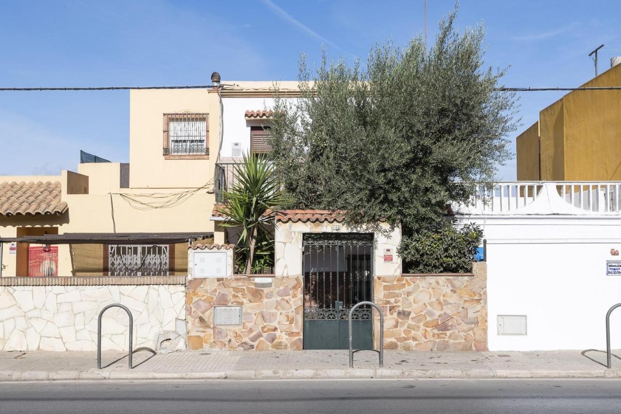 הוילה אלגסירס Casa Del Olivo מראה חיצוני תמונה